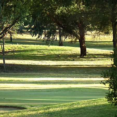 Cobram Barooga Golf Resort Room photo