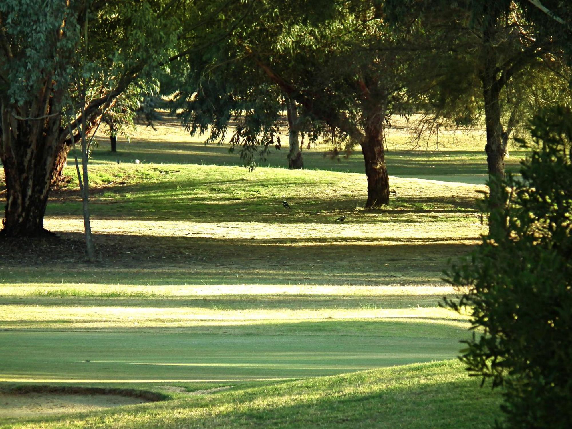 Cobram Barooga Golf Resort Room photo